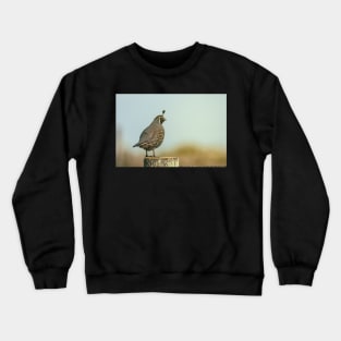 California Quail Crewneck Sweatshirt